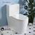 Swiss Madison SM-1T330 Liberte One-Piece Elongated Toilet Dual-Flush 1.1/1.6 gpf
