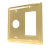 Amba Double Gang Plate - Polished Gold - AJ-DGP-PG