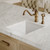 Whitehaus Undermount/Drop-in Fireclay Kitchen Sinks, Stainless Steel Grid Included - White - WHUF1818
