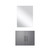 Lexora Geneva 24 inch W Dark Grey Wall Mount Vanity Cabinet and 18 in Mirror - LVG24SB010