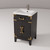 Lexora Laurel 20 inch W x 18 in D Black Oak Vanity Cabinet, Acrylic Top, and Faucet Set - LVL20SJ501