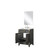 Lexora Laurel 24 inch W x 18 in D Black Oak Vanity Cabinet Acrylic Countertop, 18 in Mirror and Faucet Set - LVL24SJ511