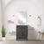 Lexora Laurel 24 inch W x 18 in D Black Oak Vanity Cabinet Acrylic Countertop, 18 in Mirror and Faucet Set - LVL24SJ511