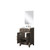 Lexora Laurel 20 inch W x 18 in D Brown Oak Vanity Cabinet Acrylic Countertop, 18 in Mirror and Faucet Set - LVL20SK511