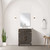 Lexora Laurel 24 inch W x 18 in D Brown Oak Vanity Cabinet Acrylic Countertop and 18 in Mirror - LVL24SK510