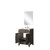 Lexora Laurel 24 inch W x 18 in D Brown Oak Vanity Cabinet Acrylic Countertop, 18 in Mirror and Faucet Set - LVL24SK511