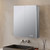 Lexora Corsica 24 inch W x 32 in H Surface-Mount LED Mirror Medicine Cabinet with Defogger - LLMCCO2432