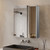 Lexora Corsica 24 inch W x 32 in H Surface-Mount LED Mirror Medicine Cabinet with Defogger - LLMCCO2432