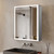 Lexora Mesa 24 inch W x 28 in H Surface-Mount LED Mirror Medicine Cabinet with Defogger - LLMCME2428