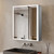 Lexora Mesa 24 inch W x 30 in H Surface-Mount LED Mirror Medicine Cabinet with Defogger - LLMCME2430