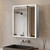Lexora Mesa 24 inch W x 32 in H Surface-Mount LED Mirror Medicine Cabinet with Defogger - LLMCME2432