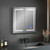 Lexora Bracciano 24 in. W x 30 in. H Surface-Mount LED Mirror Medicine Cabinet with Defogger - LB2430LEDMC