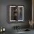 Lexora Bracciano 24 in. W x 30 in. H Surface-Mount LED Mirror Medicine Cabinet with Defogger - LB2430LEDMC