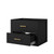 Lexora Castor 24 inch W x 18 in D Black Single Bath Wall Hung Vanity Cabinet - LVC24SL000