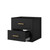 Lexora Castor 20 inch W x 18 in D Black Single Bath Wall Hung Vanity Cabinet - LVC20SL000