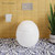 Swiss Madison SM-WT560 Plaisir Back to Wall Toilet