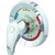 Symmons Temptrol II Tub/Shower Faucet Trim - Chrome - BP-46-2-MRO-TRM