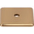 Top Knobs Radcliffe Knob Backplate 1 1/4", Honey Bronze - TK3280HB