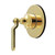 Kingston Brass Whitaker Single-Handle Six-Way Diverter Valve with Round Trim Kit, Polished Brass - KS4032KL