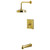 Kingston Brass Revival Single-Handle Pressure Balanced Tub and Shower Faucet, Brushed Brass - KB5897AL