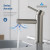 Blossom Single Handle Lavatory Faucet - Brush Nickel - F01 116 02