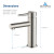 Blossom Single Handle Lavatory Faucet - Brush Nickel - F01 116 02