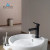 Blossom Single Handle Lavatory Faucet - Matte Black - F01 116 04