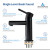 Blossom Single Handle Lavatory Faucet - Matte Black - F01 116 04