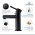 Blossom Single Handle Lavatory Faucet - Matte Black - F01 116 04