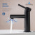 Blossom Single Handle Lavatory Faucet - Matte Black - F01 116 04
