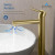 Blossom Single Handle Lavatory Faucet - Brush Gold - F01 116 06