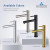 Blossom Single Handle Lavatory Faucet - Brush Nickel - F01 117 02