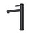 Blossom Single Handle Lavatory Faucet - Matte Black - F01 117 04