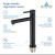 Blossom Single Handle Lavatory Faucet - Matte Black - F01 117 04