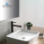 Blossom Single Handle Lavatory Faucet - Matte Black - F01 117 04