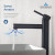 Blossom Single Handle Lavatory Faucet - Matte Black - F01 117 04