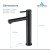 Blossom Single Handle Lavatory Faucet - Matte Black - F01 117 04