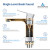 Blossom Single Handle Lavatory Faucet - Chrome - F01 118 01