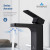 Blossom Single Handle Lavatory Faucet - Matte Black - F01 118 04