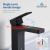 Blossom Single Handle Lavatory Faucet - Matte Black - F01 118 04