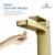 Blossom Single Handle Lavatory Faucet - Brush Gold - F01 118 06