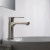 Blossom Single Handle Lavatory Faucet - Brush Nickel - F01 119 02