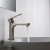 Blossom Single Handle Lavatory Faucet - Brush Nickel - F01 119 02