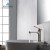 Blossom Single Handle Lavatory Faucet - Brush Nickel - F01 119 02