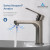 Blossom Single Handle Lavatory Faucet - Brush Nickel - F01 119 02