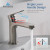 Blossom Single Handle Lavatory Faucet - Brush Nickel - F01 119 02