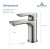 Blossom Single Handle Lavatory Faucet - Brush Nickel - F01 120 02