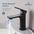 Blossom Single Handle Lavatory Faucet - Matte Black - F01 120 04