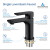 Blossom Single Handle Lavatory Faucet - Matte Black - F01 120 04