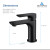 Blossom Single Handle Lavatory Faucet - Matte Black - F01 120 04